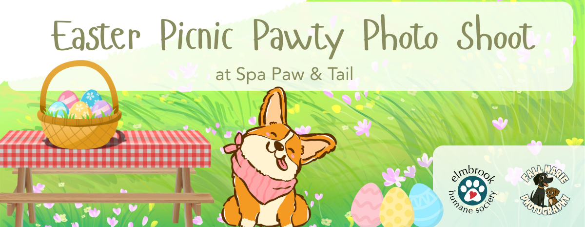 Easter Picnic Pawty Photo Shoot